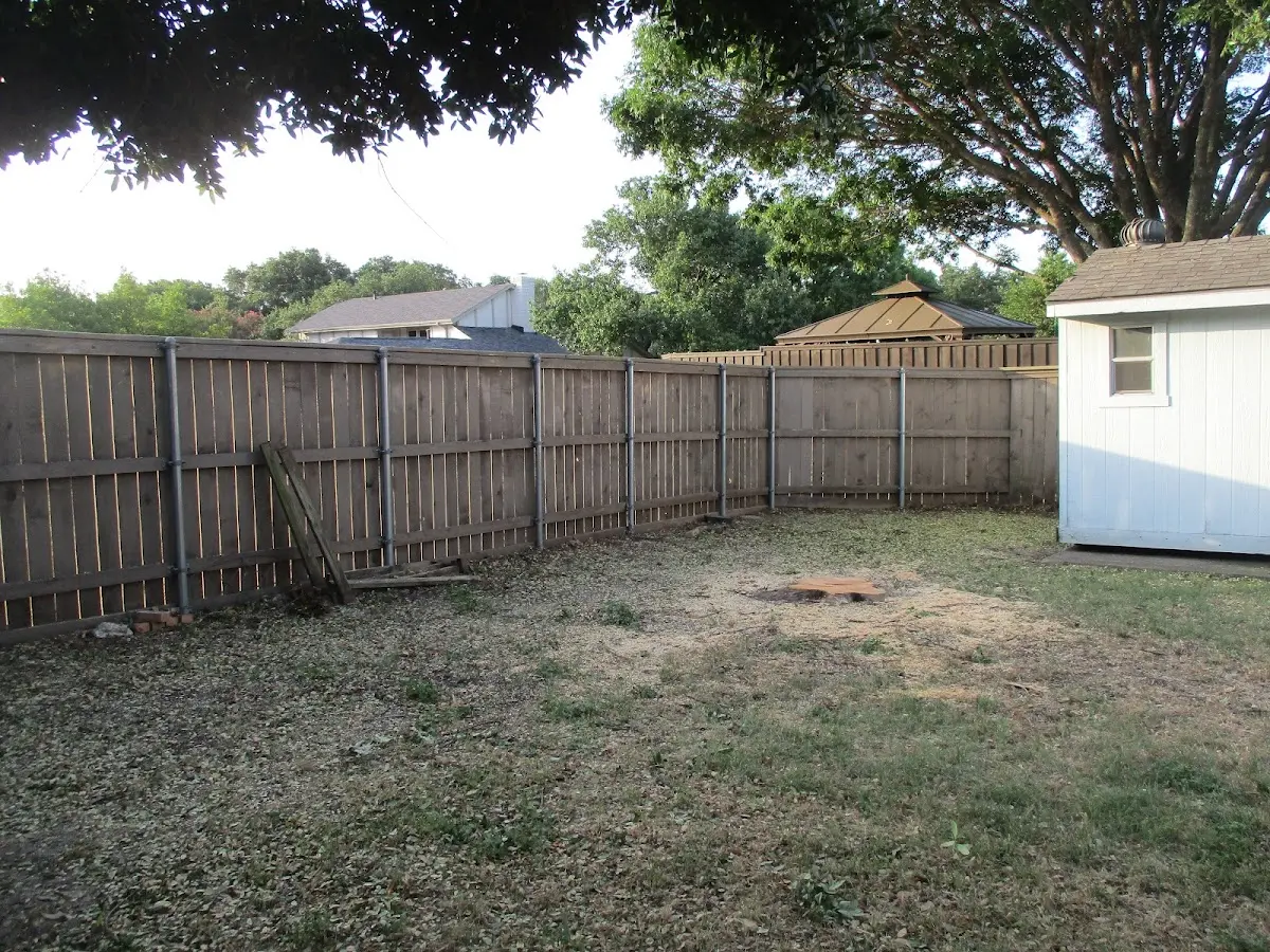 Cleared yard after professional tree removal in Caroga Lake
